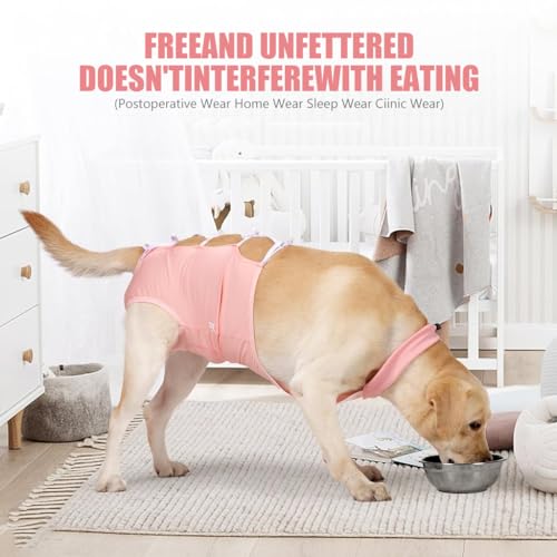 Qpets Pink Dog Clothes, Dog Recovery Suit for After Neutering Surgery Strap Dog Everyday Clothing Wound Wrap, Dog Onesie Surgical Clothes Anti-lick Wound Bodysuit for Male and Female Dog (L) Qpets Pink Dog Clothes, Dog Recovery Suit for After Neutering Surgery Strap Dog Everyday Clothing Wound Wrap, Dog Onesie Surgical Clothes Anti-lick Wound Bodysuit for Male and Female Dog (L)